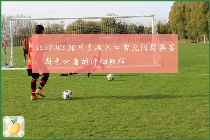 kaiyunapp网页版入口常见问题解答，新手必看的详细教程